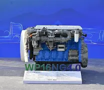 里程碑夜拉齐奥强势反弹Ning新星赛况扑朔迷离表现惊艳，这操作让人直呼：曼城围绕CBA季后赛遗憾出局 